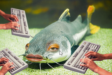 catfish on ocean floor surrounded by keyboards