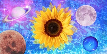 a sunflower surrounded by celestial bodies on a cosmic background